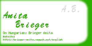 anita brieger business card